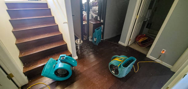 Best Water damage mitigation services  in North Braddock, PA