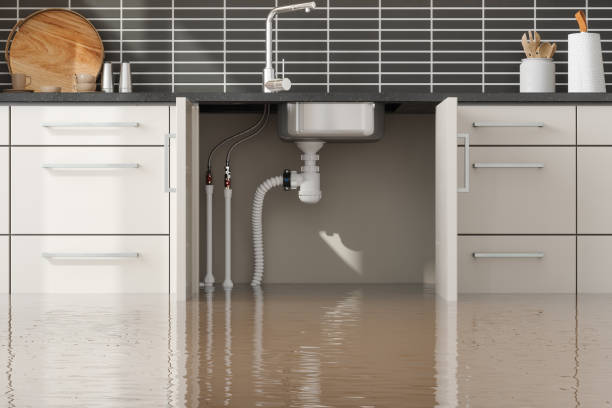 Best Commercial water damage restoration  in North Braddock, PA